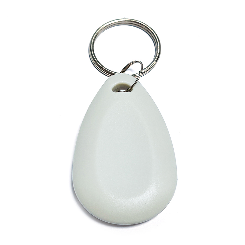Aceess Control RFID Keyfob TK4100 EM4200 LF ABS Keychain