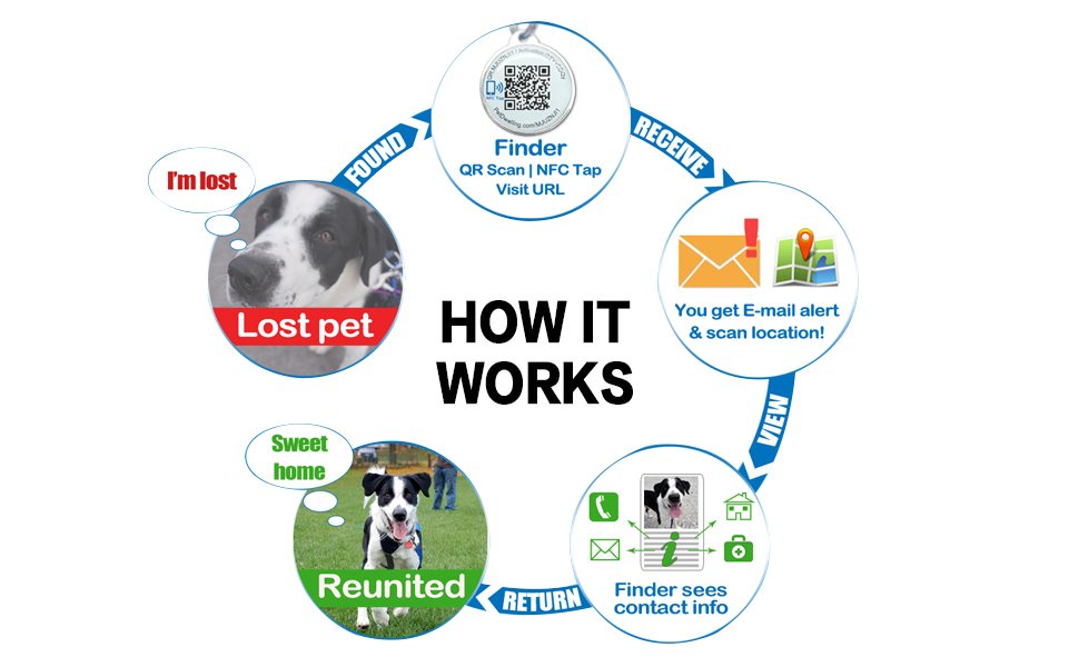 RFID PET TAG